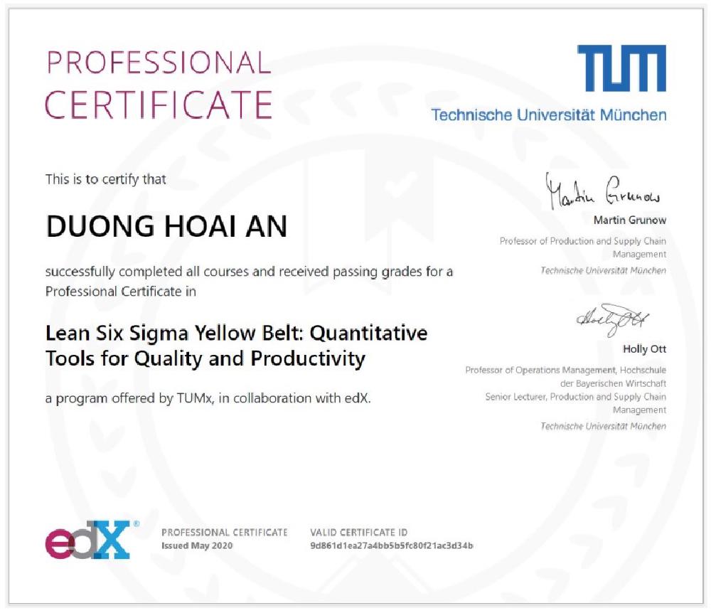 TUM-Munich-Six-Sigma-Yellow-Belt.jpg