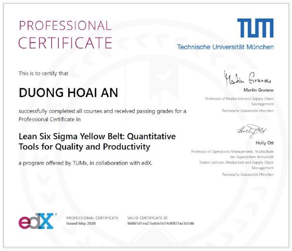 TUM-Munich-Six-Sigma-Yellow-Belt.jpg